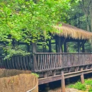 富阳镇 - 贺州市旅游 缩略图 5