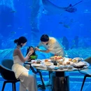 三亚海昌梦幻海洋不夜城 - 三亚市旅游 缩略图 2