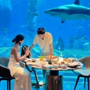 三亚海昌梦幻海洋不夜城 - 三亚市旅游 缩略图 1