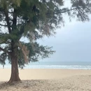 麓枫美豪酒店 - 阳江市旅游 缩略图 4