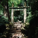 孤山 - 杭州旅游 缩略图 4