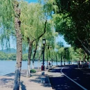 孤山 - 杭州旅游 缩略图 6