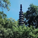 孤山 - 杭州旅游 缩略图 9