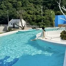 大坪关圣帝庙 - 揭阳市旅游 缩略图 6