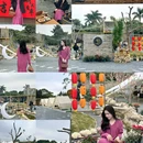 沐澜小院 - 阳江旅游 缩略图 1