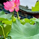 大观公园 - 昆明旅游 缩略图 5