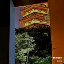 金华佳禾酒店(金华万达广场店) - 金华市旅游 缩略图 7
