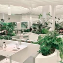 大树餐厅(合生汇店) - 北京市旅游 缩略图 9