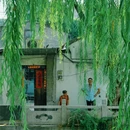 小秦淮河 - 扬州市旅游 缩略图 7