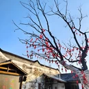 四季逸境酒店(金华高铁站银泰城店) - 金华市旅游 缩略图 4
