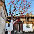 四季逸境酒店(金华高铁站银泰城店) - 金华市旅游 缩略图 5