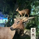 四川大学(望江校区)-博物馆 - 成都旅游 缩略图 5