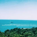 鲁迅公园 - 青岛市旅游 缩略图 4