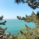 仰口游览区 - 青岛市旅游 缩略图 8