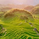 云和梯田-日出云海景点 - 丽水市旅游 缩略图 2