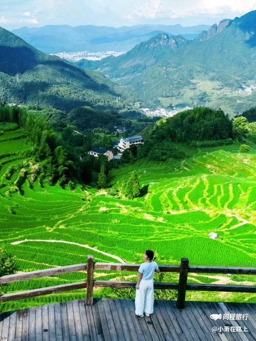 云和梯田-日出云海景点 - 丽水市旅游