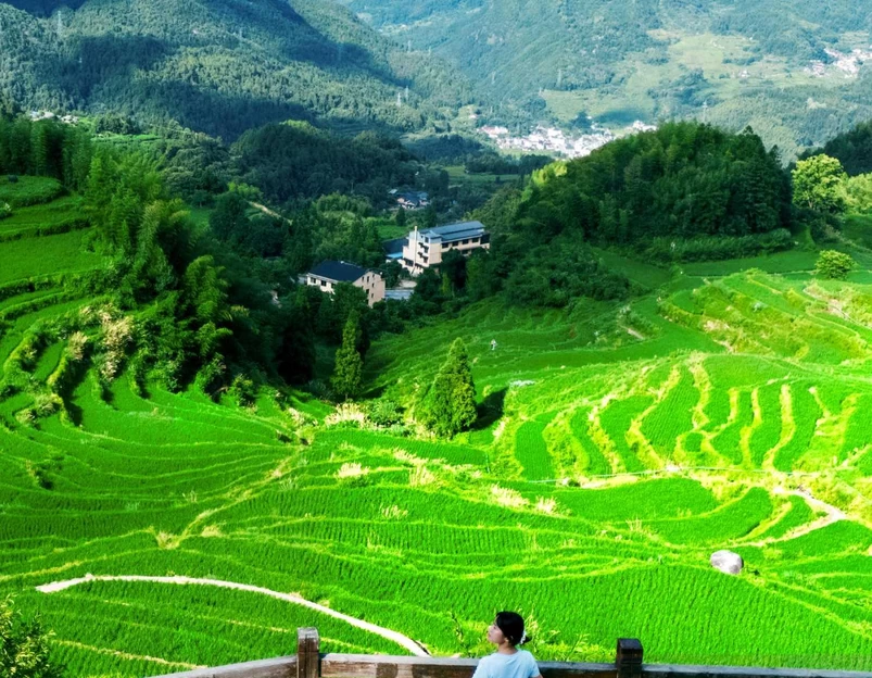 云和梯田-日出云海景点 - 丽水市旅游 1