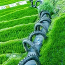 云和梯田-日出云海景点 - 丽水市旅游 缩略图 6