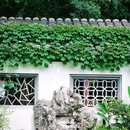 莫愁湖公园 - 南京市旅游 缩略图 4
