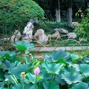 莫愁湖公园 - 南京市旅游 缩略图 3