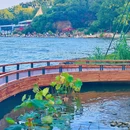 平湖珞樱观湖平台 - 武汉市旅游 缩略图 6
