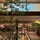 聚缘大院·小船海鲜·青岛菜(五四广场店) - 青岛市旅游 缩略图 9