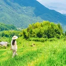 云和梯田景区 - 丽水市旅游 缩略图 3