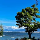 大理苍海高尔夫 - 大理白族自治州旅游 缩略图 4