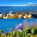 赛里木湖国家级风景名胜区 - 博尔塔拉蒙古自治州旅游 缩略图 6