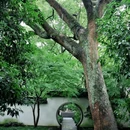 玛瑙寺 - 杭州市旅游 缩略图 1