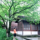 玛瑙寺 - 杭州市旅游 缩略图 5