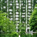 泰华梧桐村 - 深圳市旅游 缩略图 5