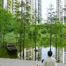 泰华梧桐村 - 深圳市旅游 缩略图 3