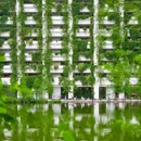 泰华梧桐村 - 深圳市旅游 缩略图 2