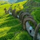 云和梯田景区 - 丽水市旅游 缩略图 6