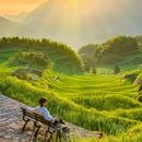 云和梯田景区 - 丽水市旅游 缩略图 9