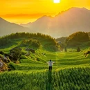 云和梯田景区 - 丽水市旅游 缩略图 8
