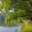 东湖绿道 - 武汉市旅游 缩略图 4