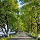 东湖绿道 - 武汉市旅游 缩略图 3