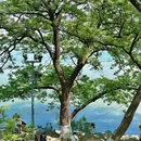 玄武湖景区 - 南京旅游 缩略图 9