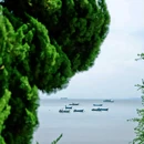 孤独的鲸 - 烟台市旅游 缩略图 4
