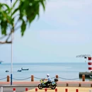 孤独的鲸 - 烟台市旅游 缩略图 5