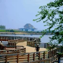 孤独的鲸 - 烟台市旅游 缩略图 7