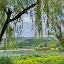 海盐南北湖景区 - 嘉兴旅游 缩略图 8