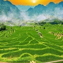 云和梯田景区 - 丽水市旅游 缩略图 1