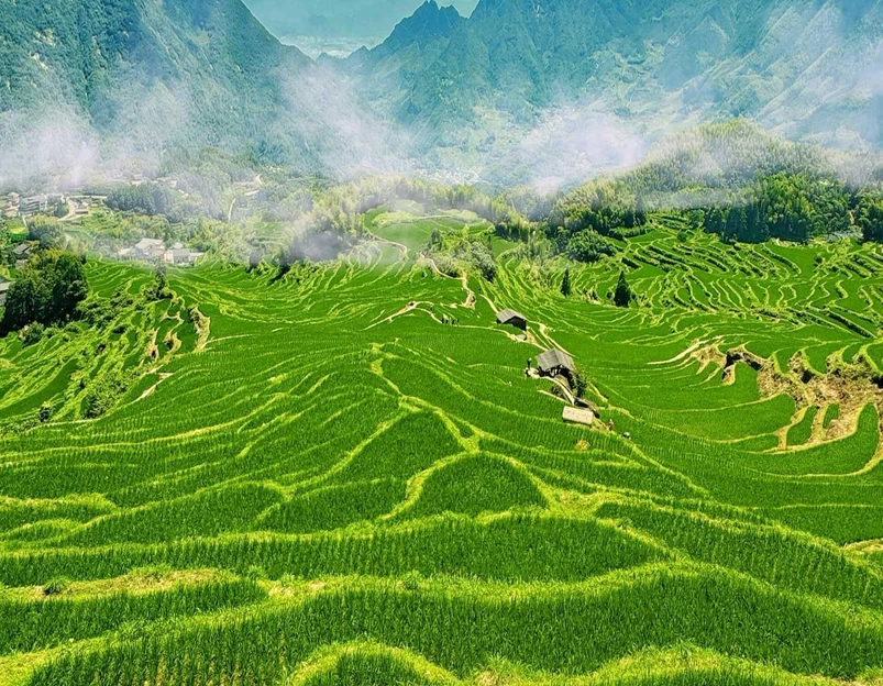 云和梯田景区 - 丽水市旅游 1