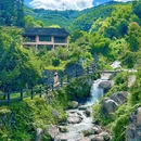 云和梯田景区 - 丽水市旅游 缩略图 4