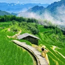 云和梯田景区 - 丽水市旅游 缩略图 6