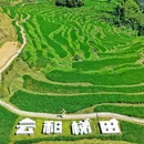 云和梯田景区 - 丽水市旅游 缩略图 7
