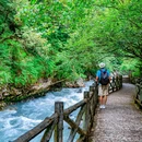 喇叭河风景区 - 雅安市旅游 缩略图 5